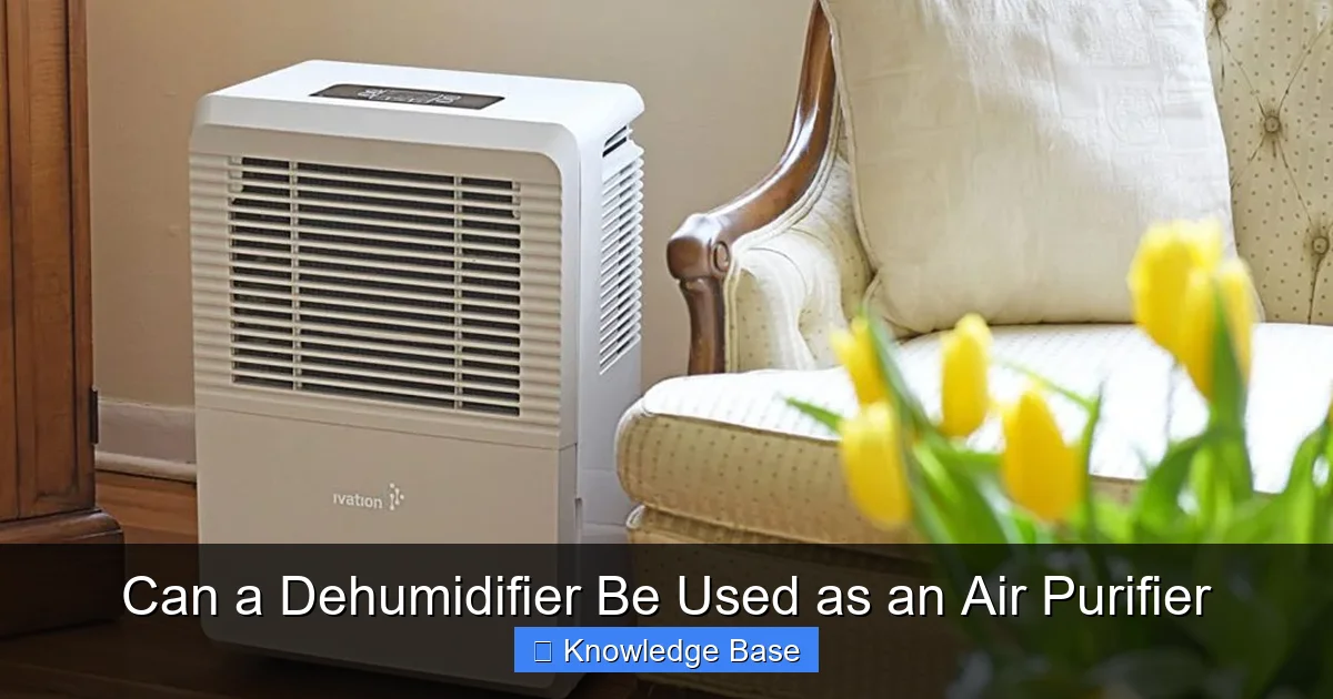 Can a Dehumidifier Be Used as an Air Purifier