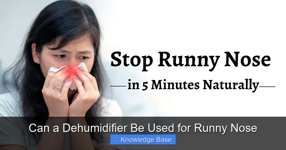 Can a Dehumidifier Be Used for Runny Nose