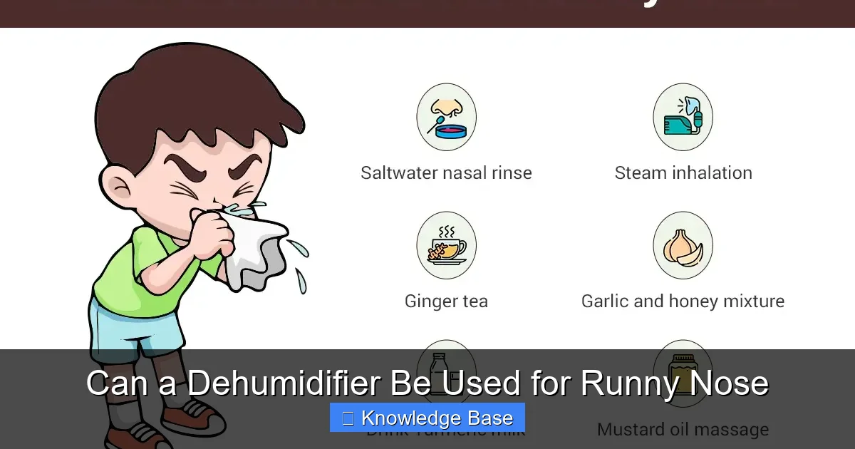 Can a Dehumidifier Be Used for Runny Nose