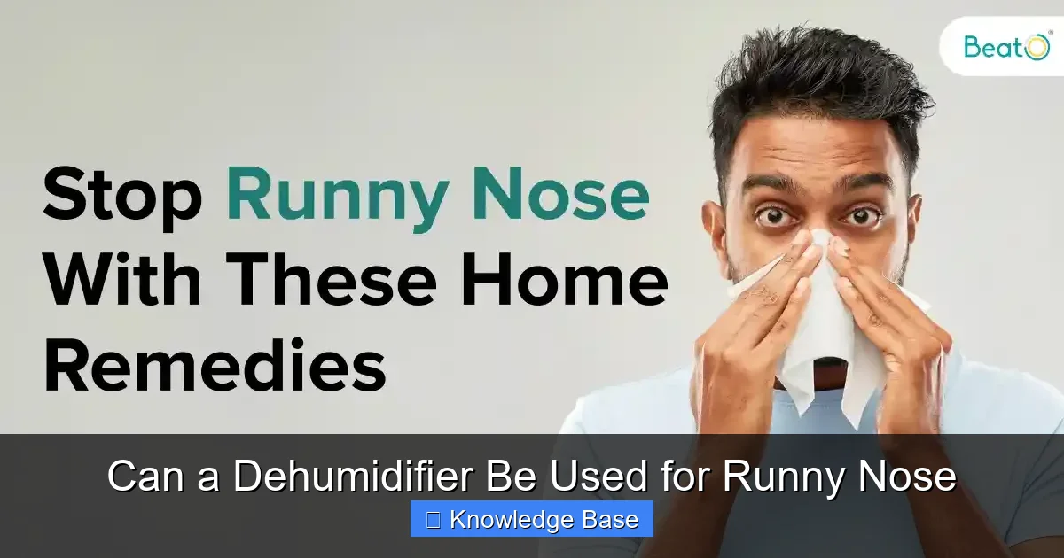 Can a Dehumidifier Be Used for Runny Nose