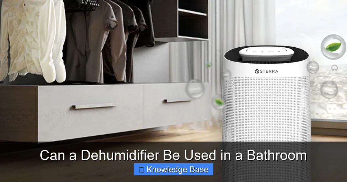Can a Dehumidifier Be Used in a Bathroom