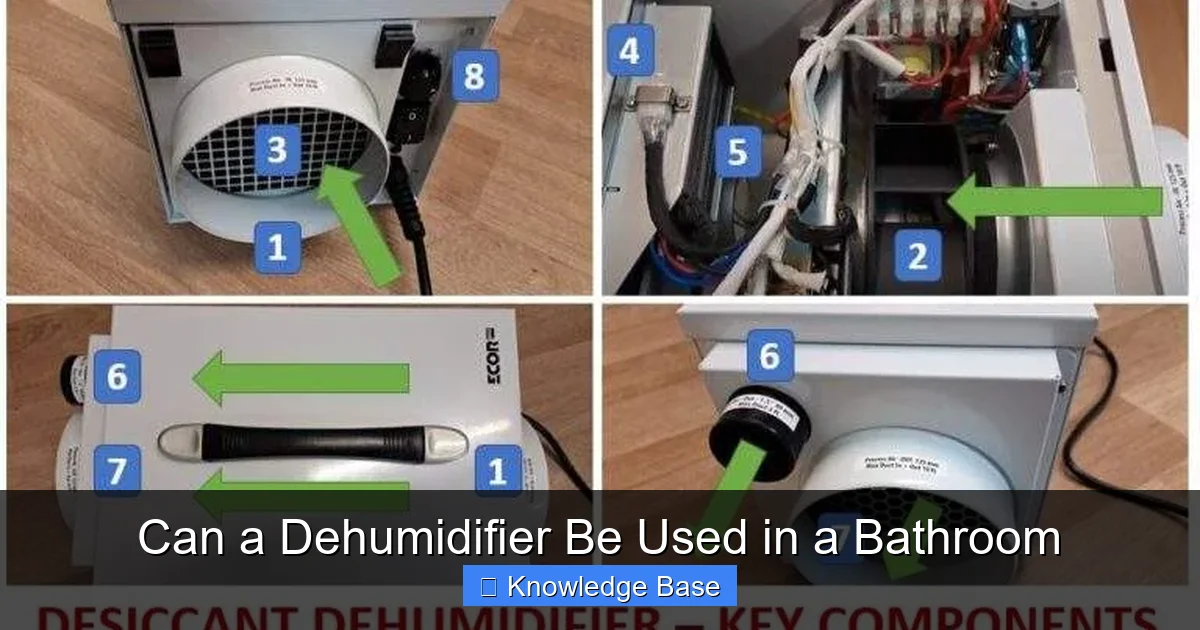 Can a Dehumidifier Be Used in a Bathroom