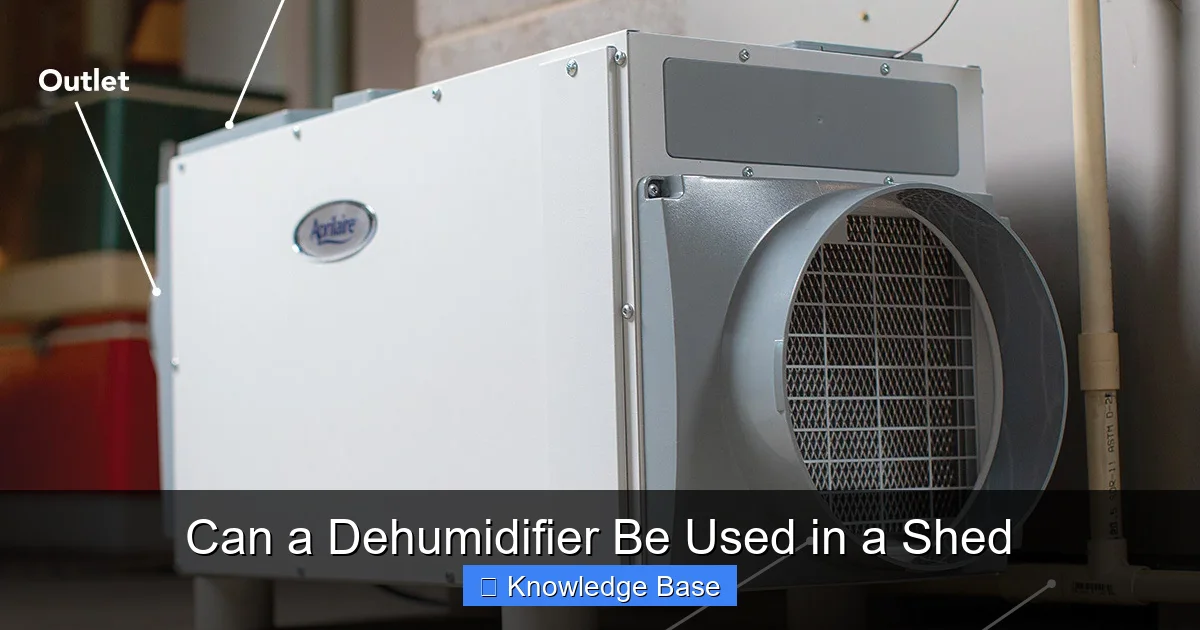 Can a Dehumidifier Be Used in a Shed