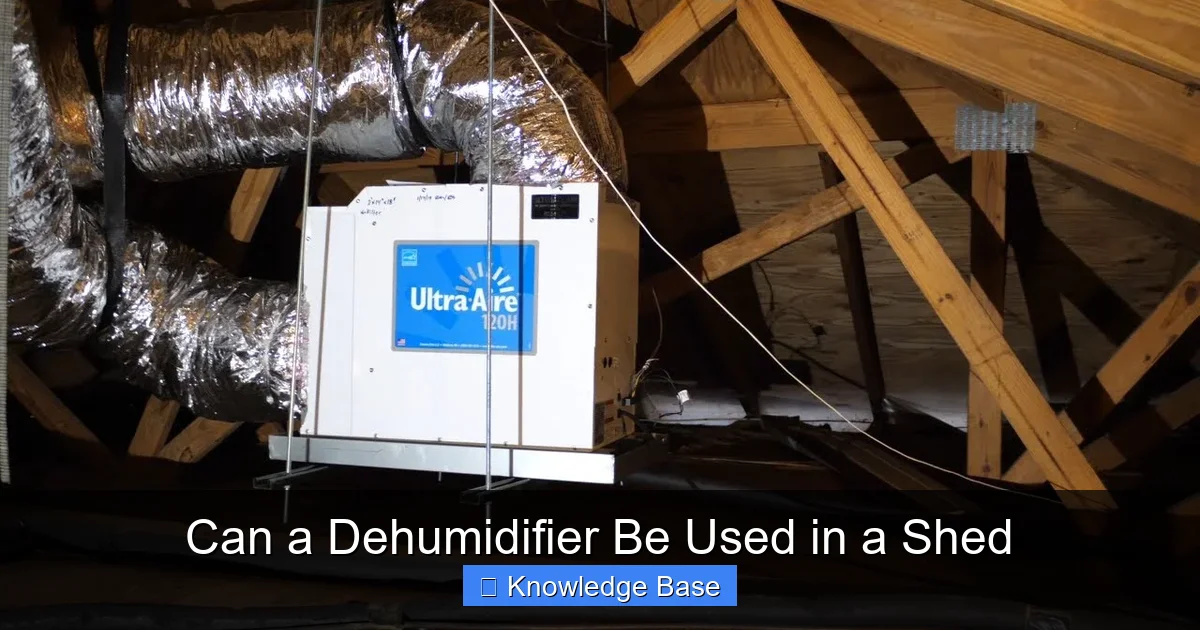 Can a Dehumidifier Be Used in a Shed