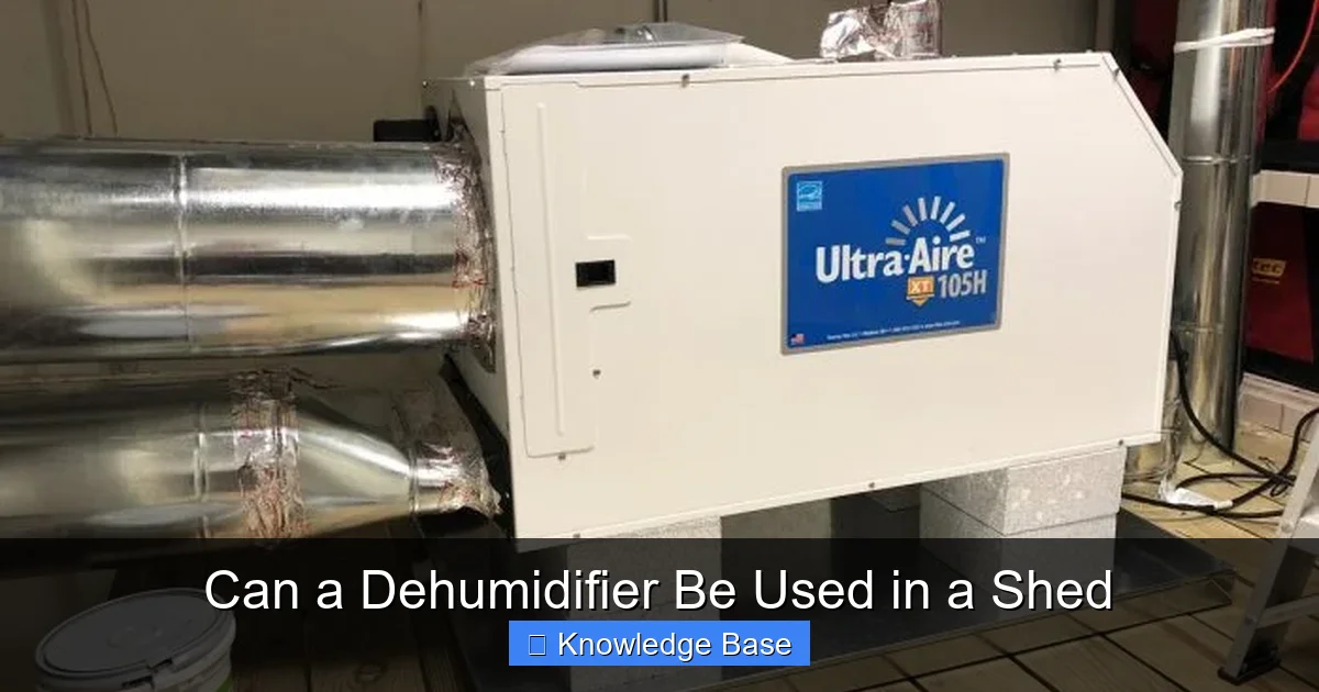 Can a Dehumidifier Be Used in a Shed