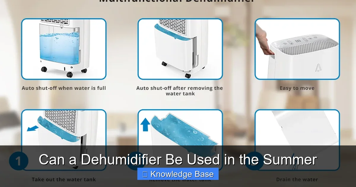 Can a Dehumidifier Be Used in the Summer