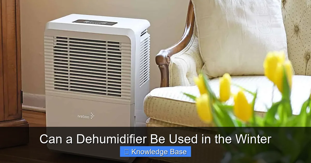 Can a Dehumidifier Be Used in the Winter