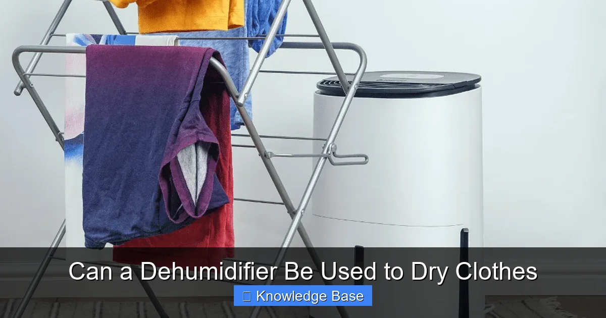 Can a Dehumidifier Be Used to Dry Clothes