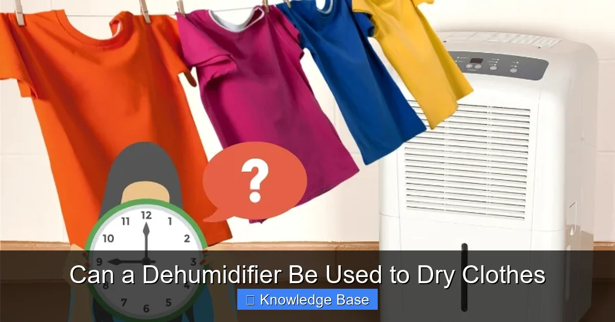 Can a Dehumidifier Be Used to Dry Clothes