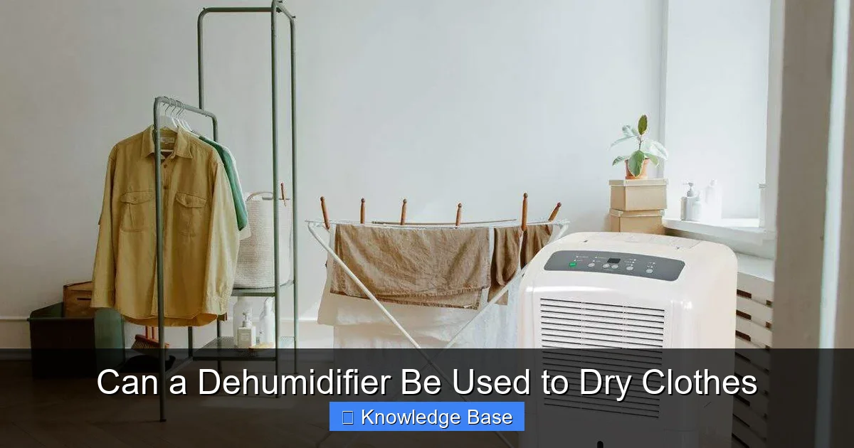Can a Dehumidifier Be Used to Dry Clothes