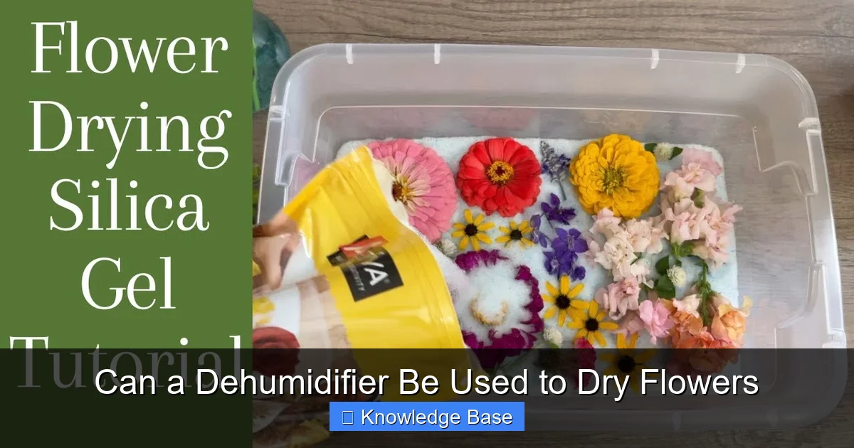 Can a Dehumidifier Be Used to Dry Flowers