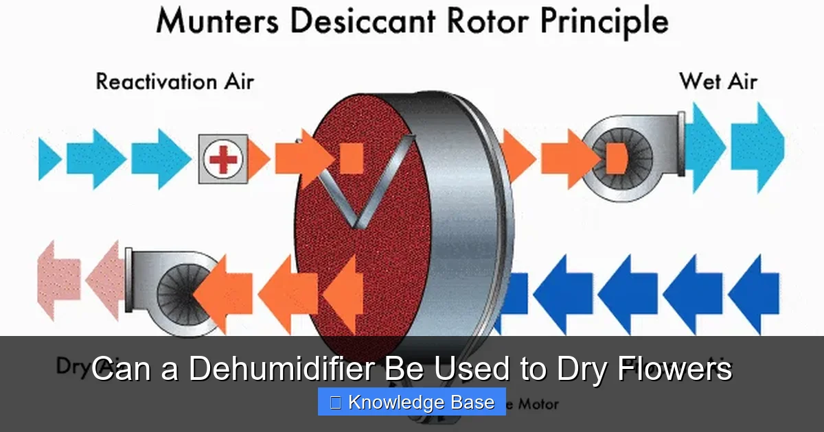 Can a Dehumidifier Be Used to Dry Flowers