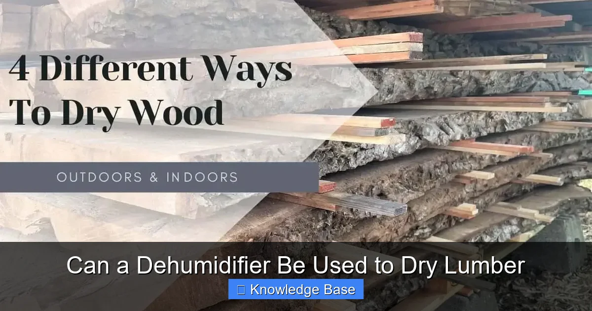 Can a Dehumidifier Be Used to Dry Lumber