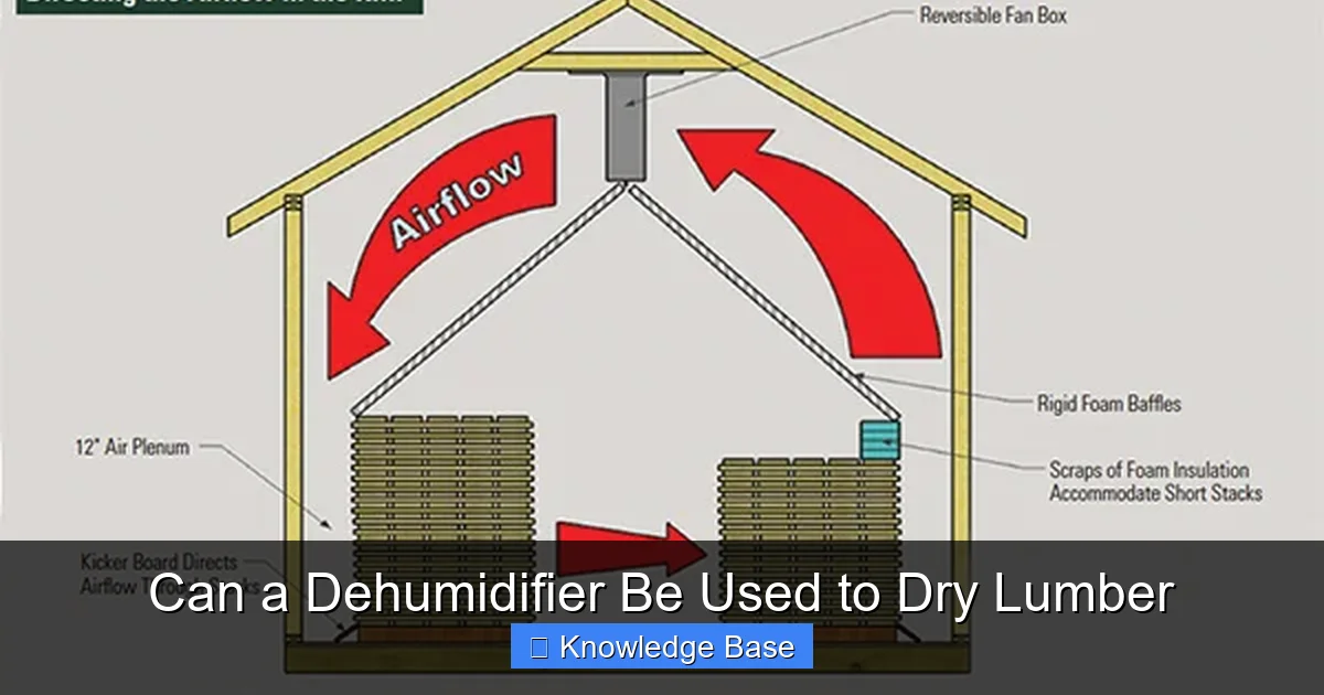 Can a Dehumidifier Be Used to Dry Lumber
