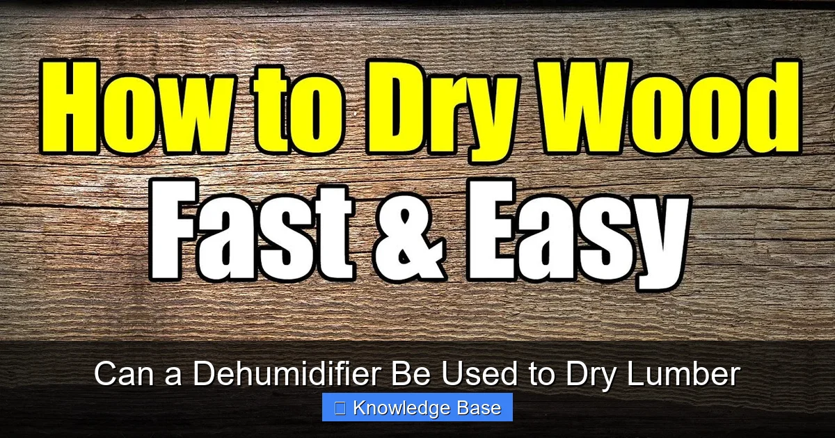 Can a Dehumidifier Be Used to Dry Lumber
