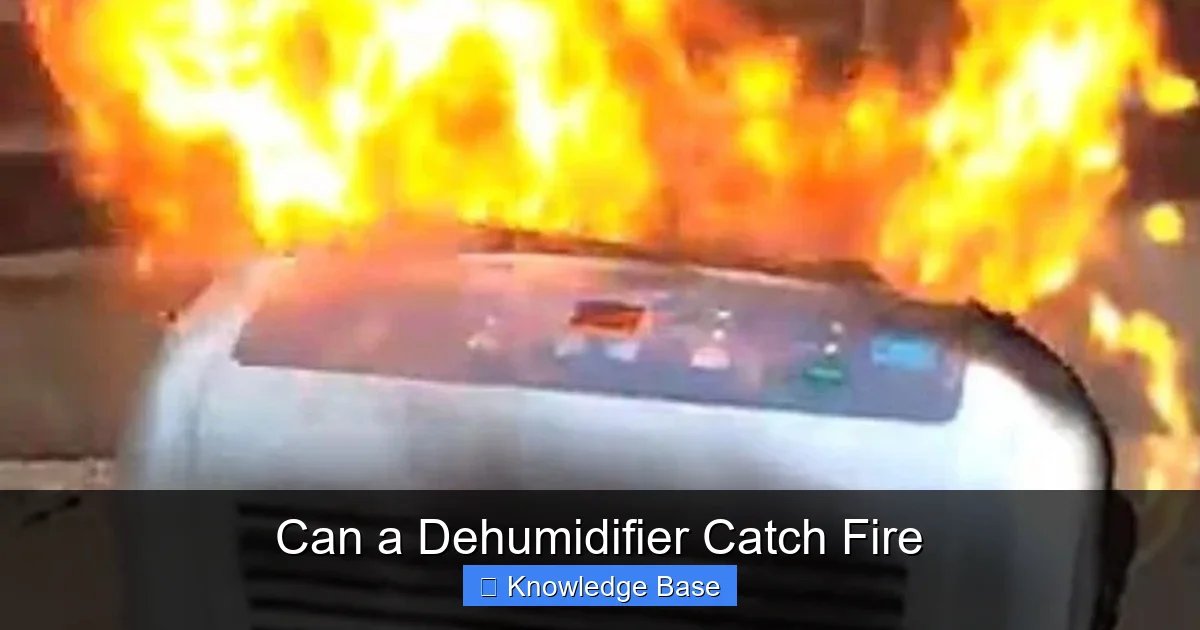 Can a Dehumidifier Catch Fire