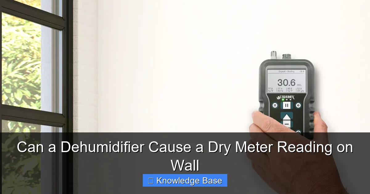 Can a Dehumidifier Cause a Dry Meter Reading on Wall