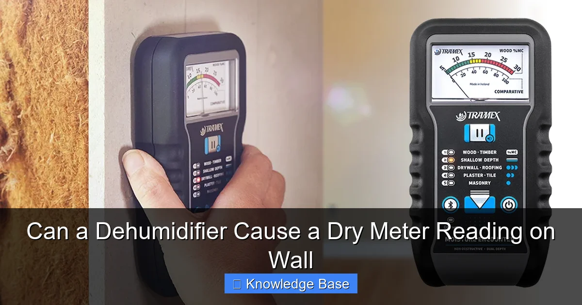 Can a Dehumidifier Cause a Dry Meter Reading on Wall