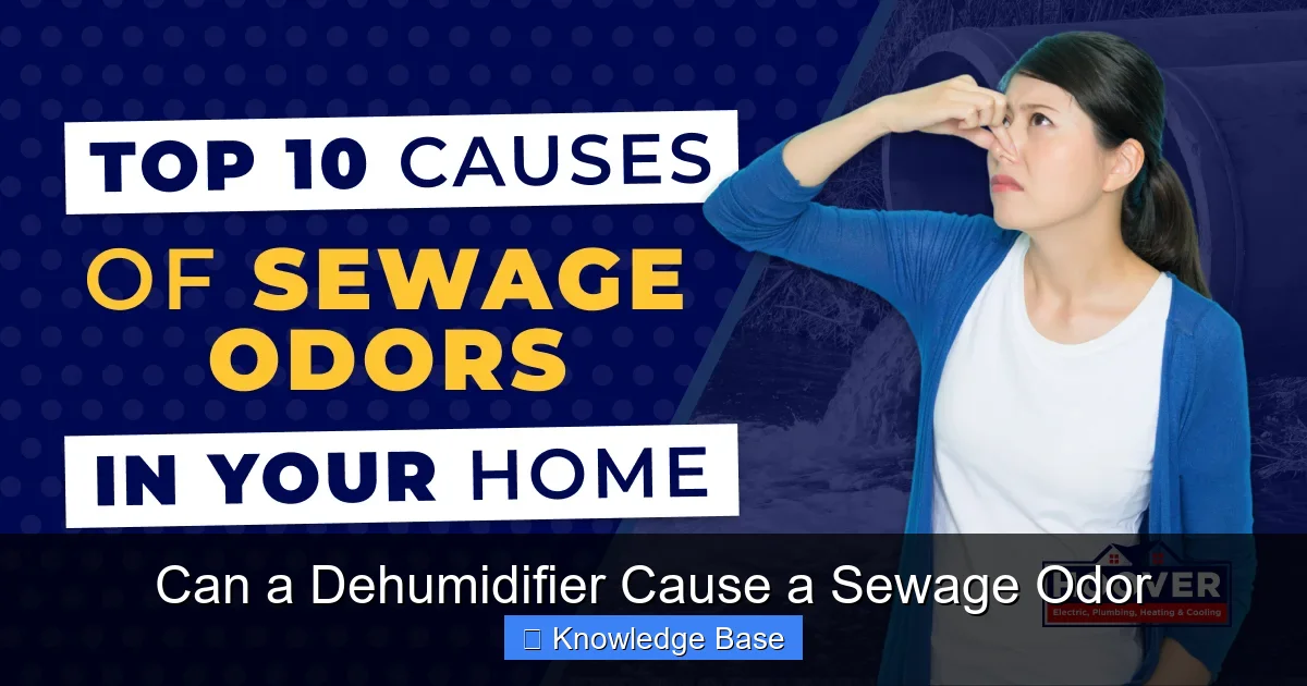 Can a Dehumidifier Cause a Sewage Odor
