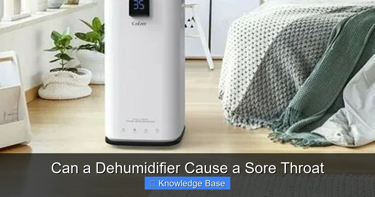 Can a Dehumidifier Cause a Sore Throat