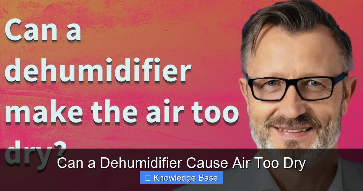 Can a Dehumidifier Cause Air Too Dry