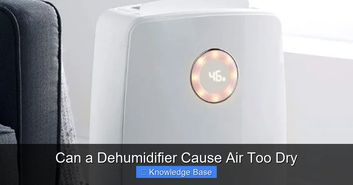 Can a Dehumidifier Cause Air Too Dry