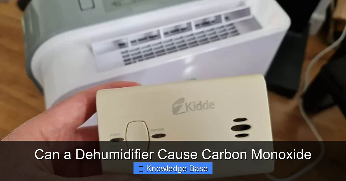 Can a Dehumidifier Cause Carbon Monoxide