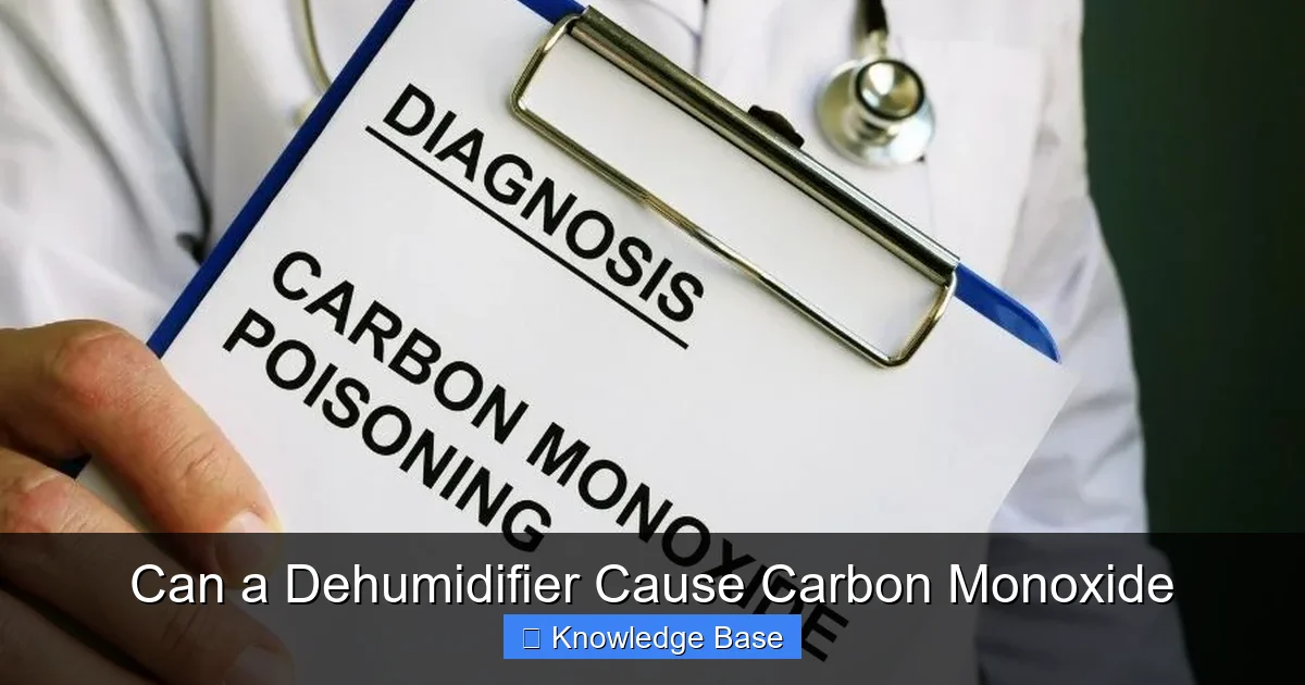 Can a Dehumidifier Cause Carbon Monoxide