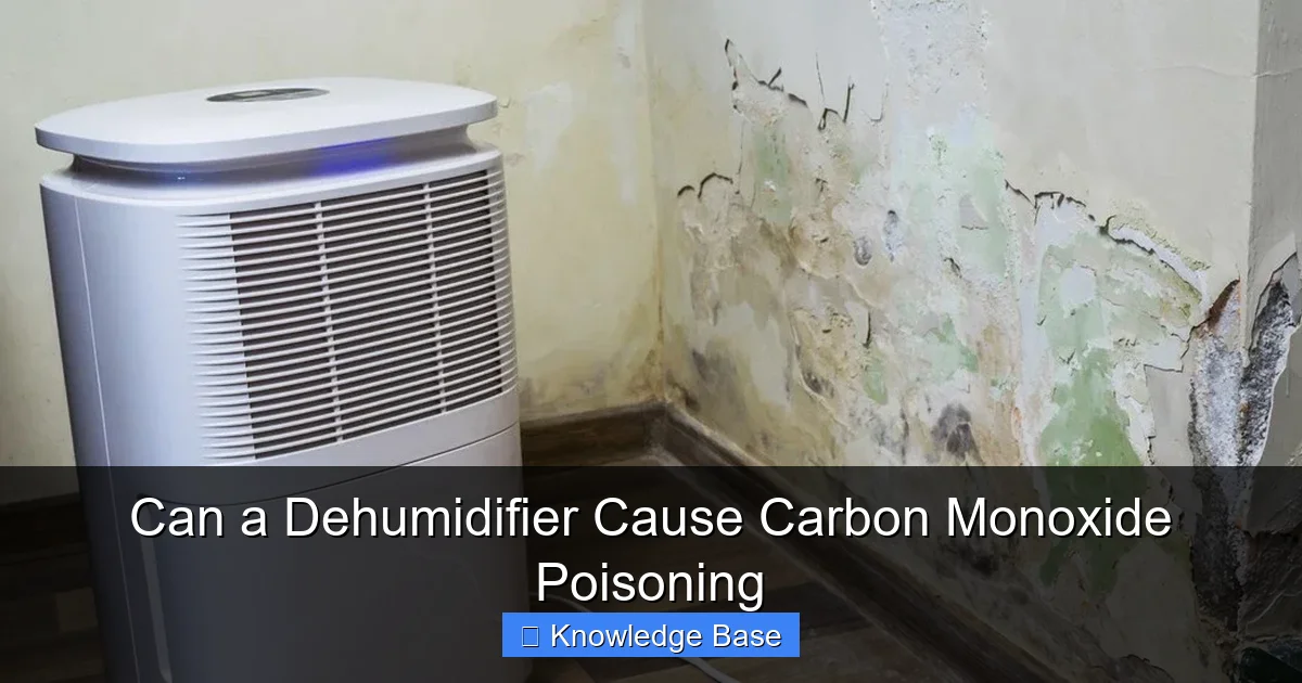 Can a Dehumidifier Cause Carbon Monoxide Poisoning