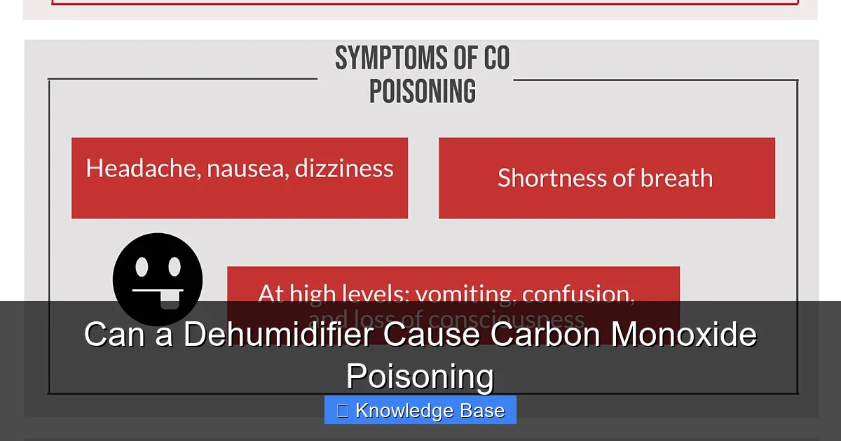 Can a Dehumidifier Cause Carbon Monoxide Poisoning