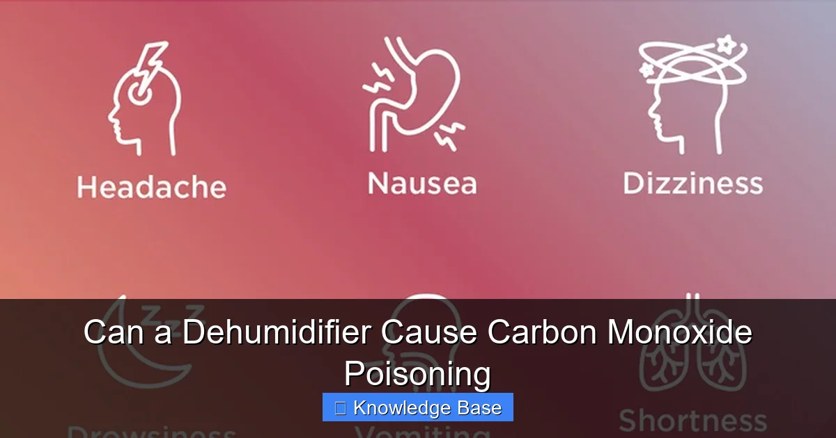 Can a Dehumidifier Cause Carbon Monoxide Poisoning