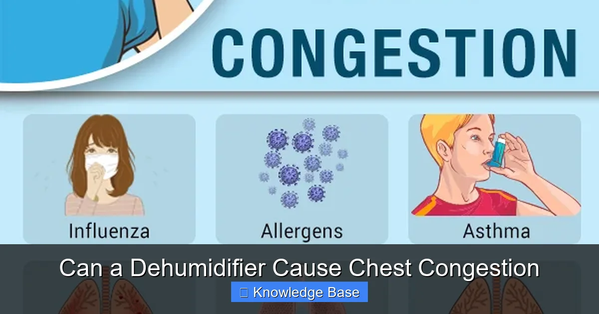 Can a Dehumidifier Cause Chest Congestion