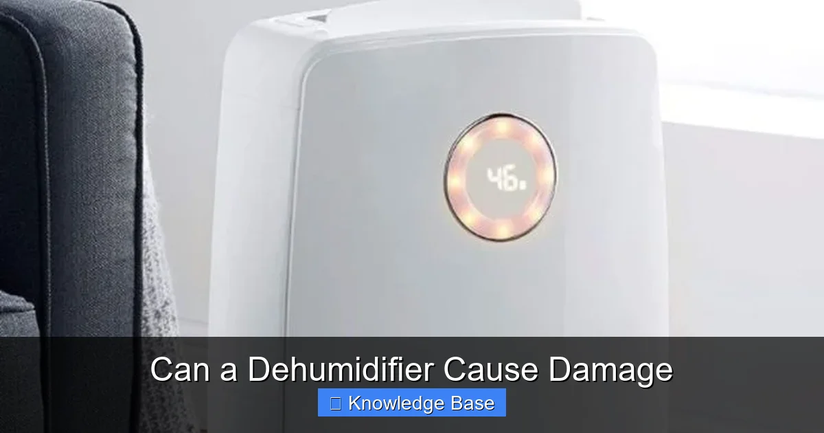 Can a Dehumidifier Cause Damage