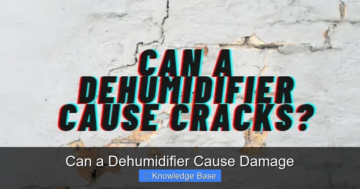 Can a Dehumidifier Cause Damage
