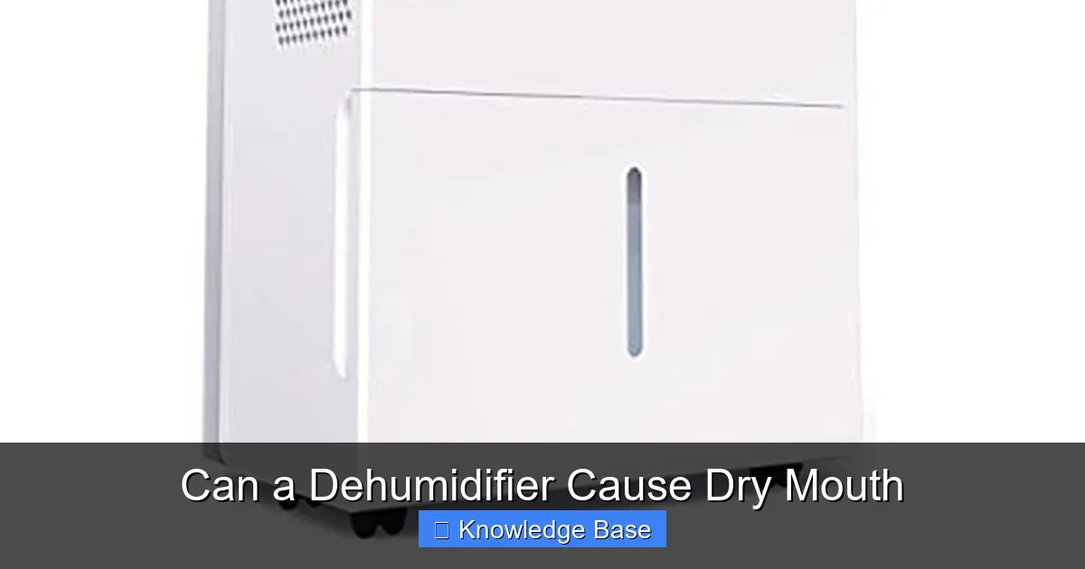 Can a Dehumidifier Cause Dry Mouth