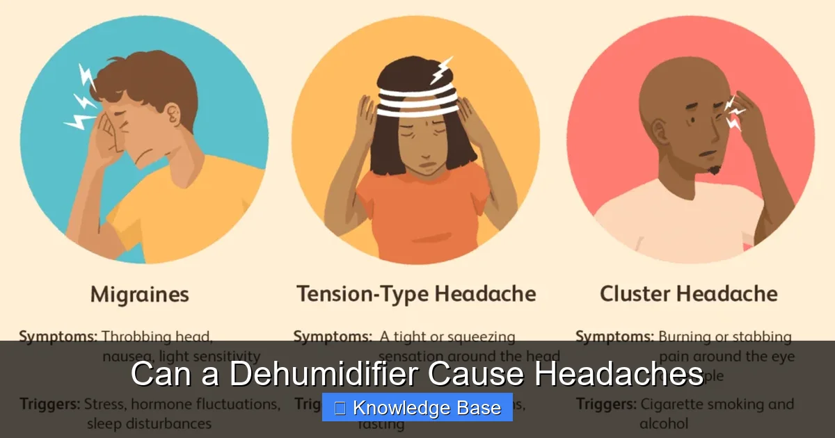 Can a Dehumidifier Cause Headaches