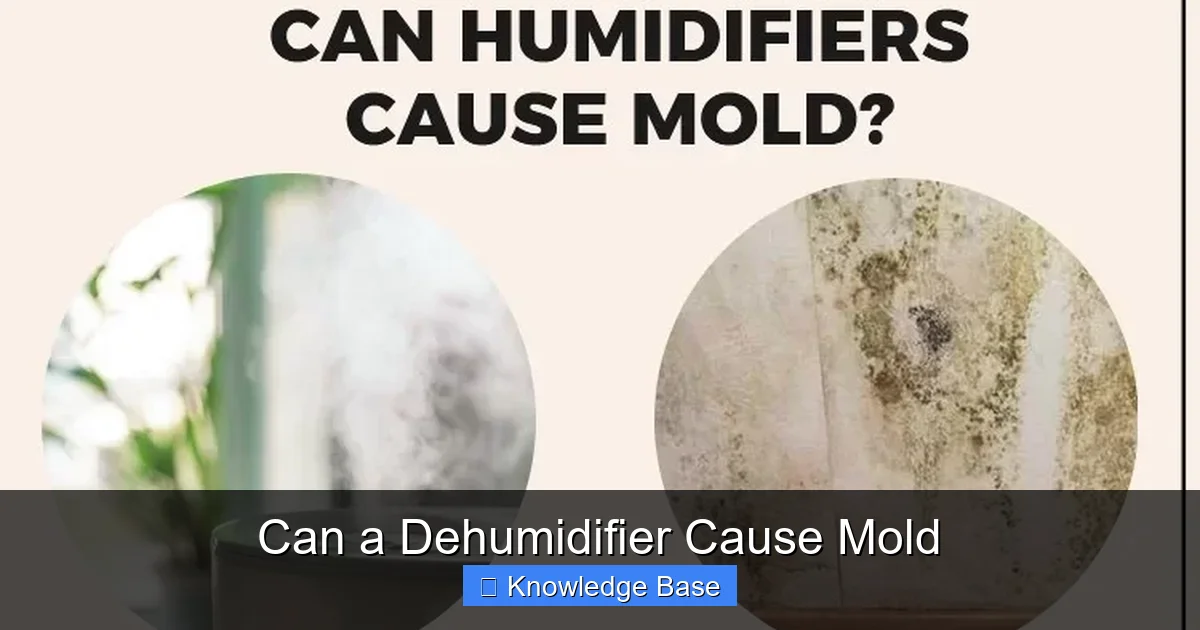 Can a Dehumidifier Cause Mold
