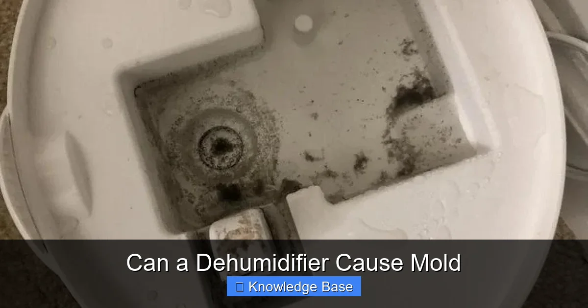 Can a Dehumidifier Cause Mold