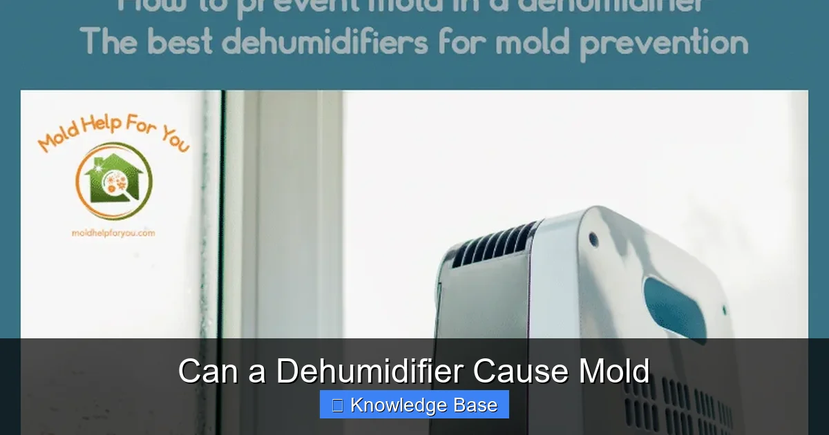 Can a Dehumidifier Cause Mold
