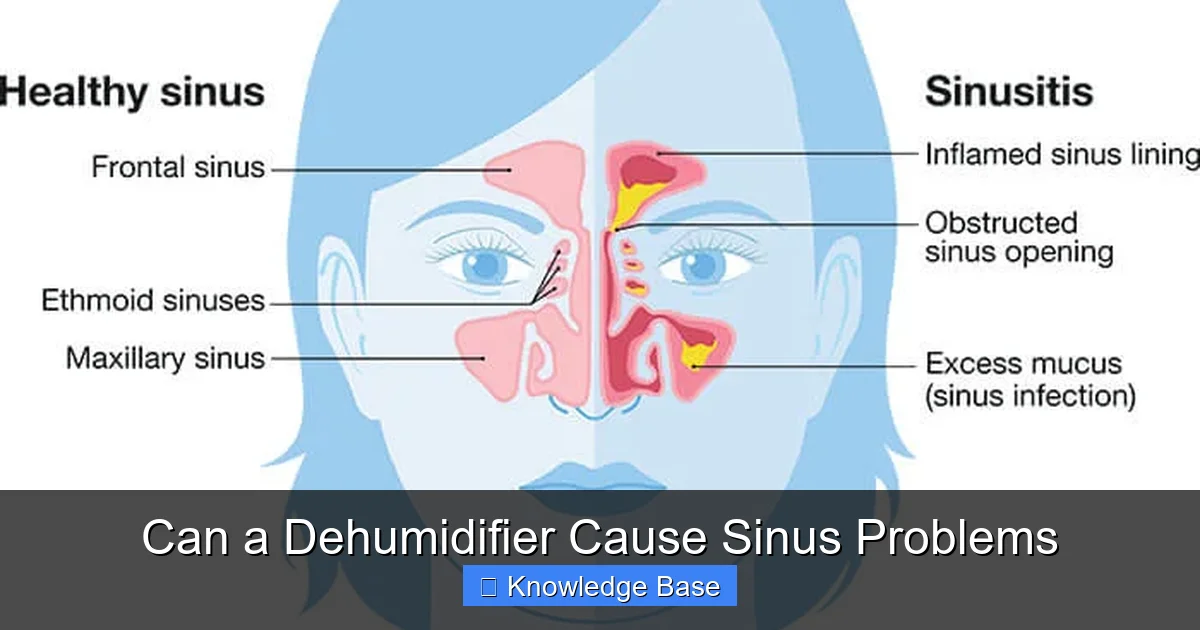 Can a Dehumidifier Cause Sinus Problems