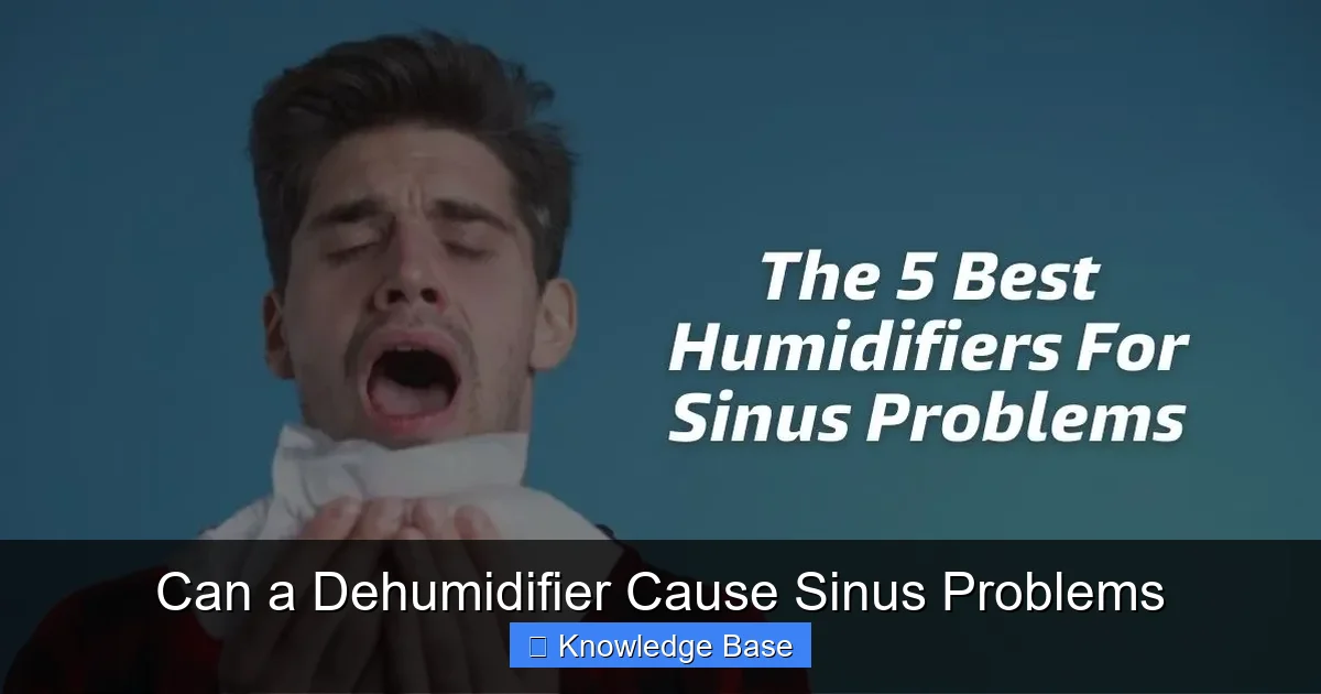 Can a Dehumidifier Cause Sinus Problems