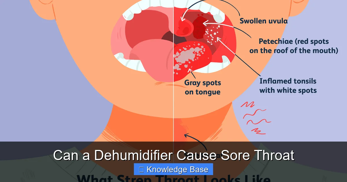Can a Dehumidifier Cause Sore Throat