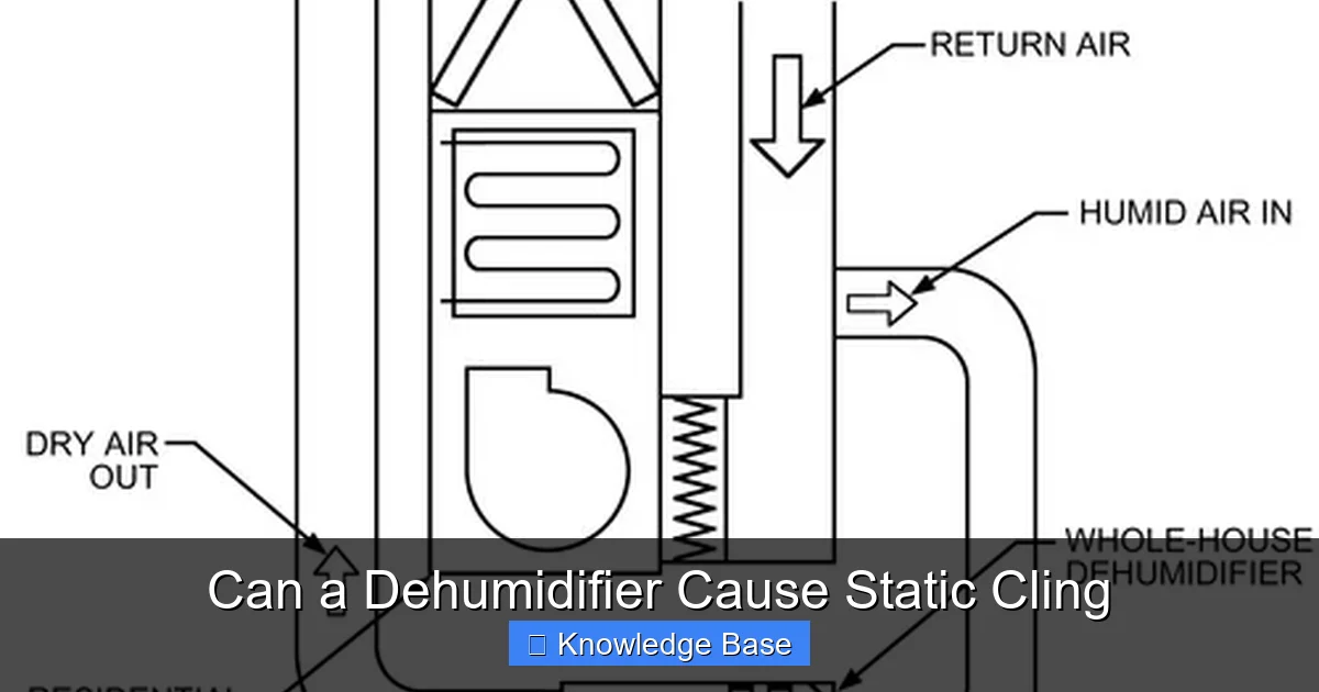 Can a Dehumidifier Cause Static Cling