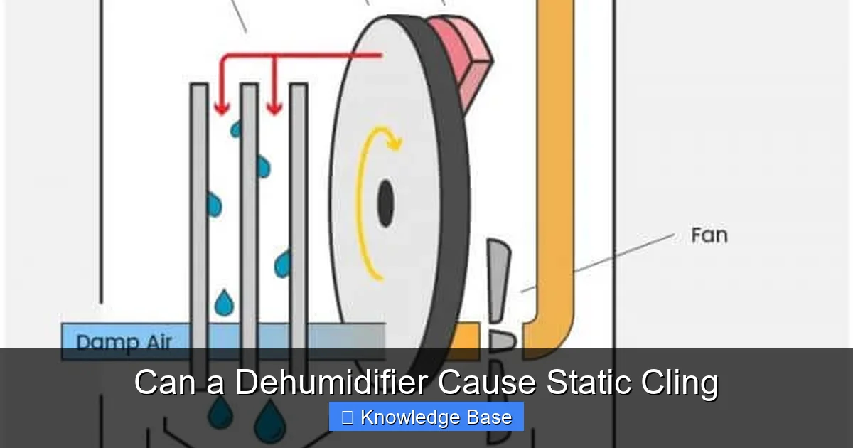 Can a Dehumidifier Cause Static Cling