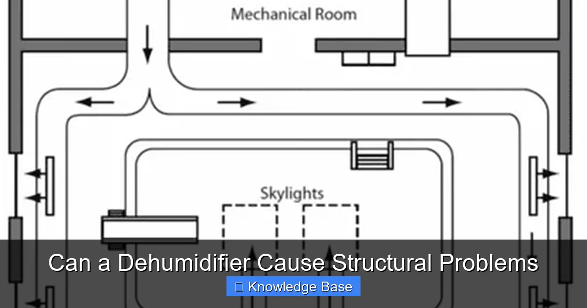 Can a Dehumidifier Cause Structural Problems