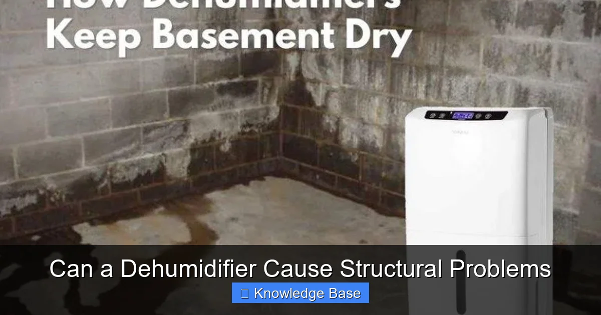 Can a Dehumidifier Cause Structural Problems