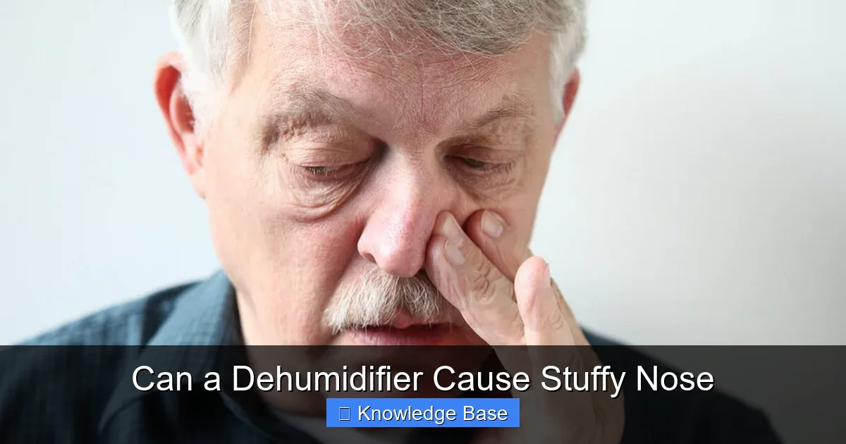 Can a Dehumidifier Cause Stuffy Nose
