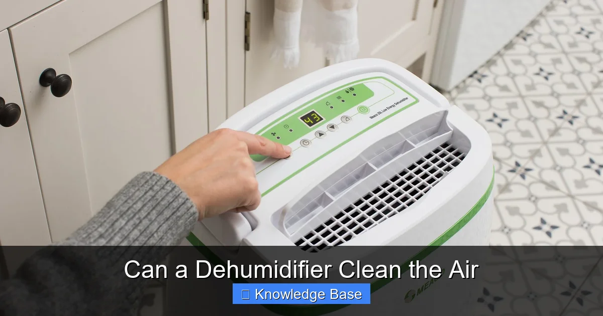 Can a Dehumidifier Clean the Air