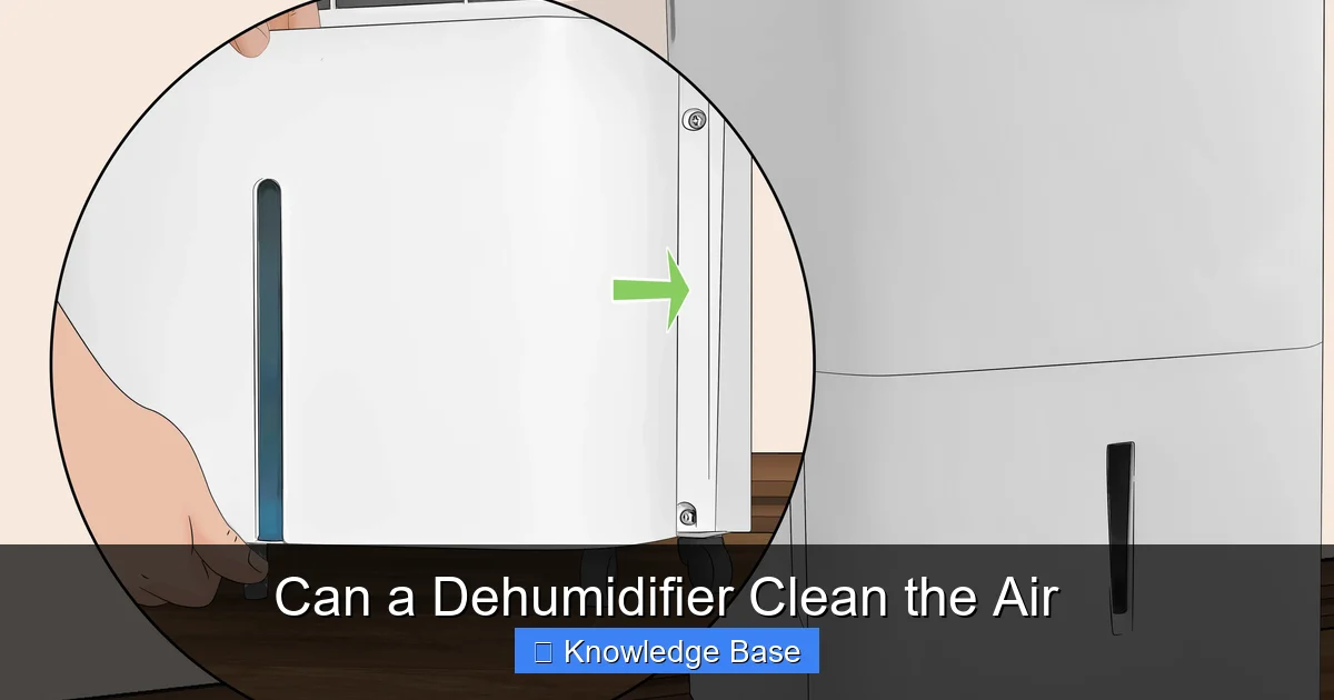 Can a Dehumidifier Clean the Air