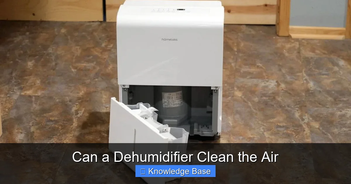 Can a Dehumidifier Clean the Air